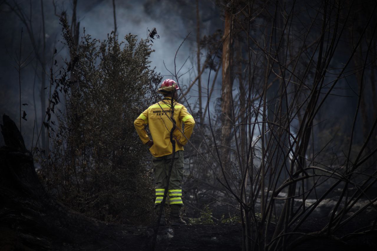 Incendios forestales Patagonia (18)