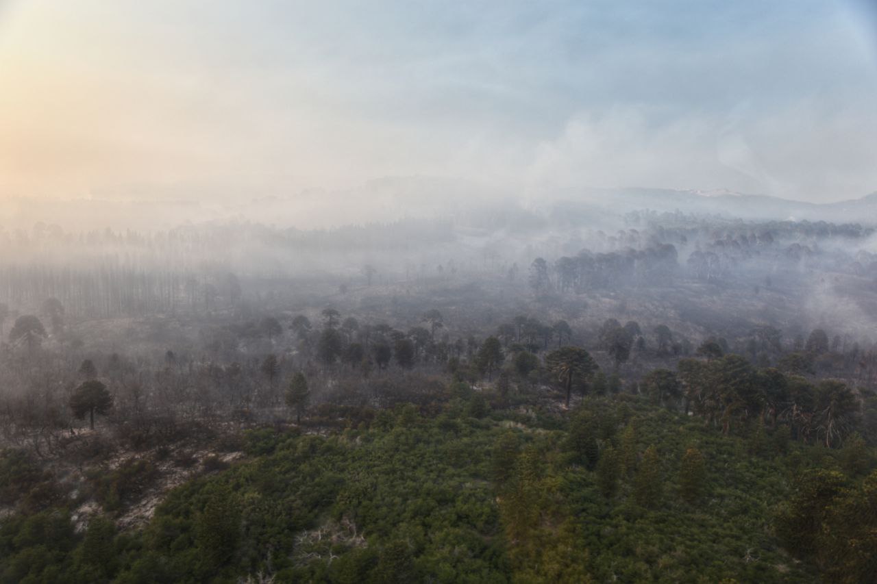 Incendios forestales Patagonia (6)